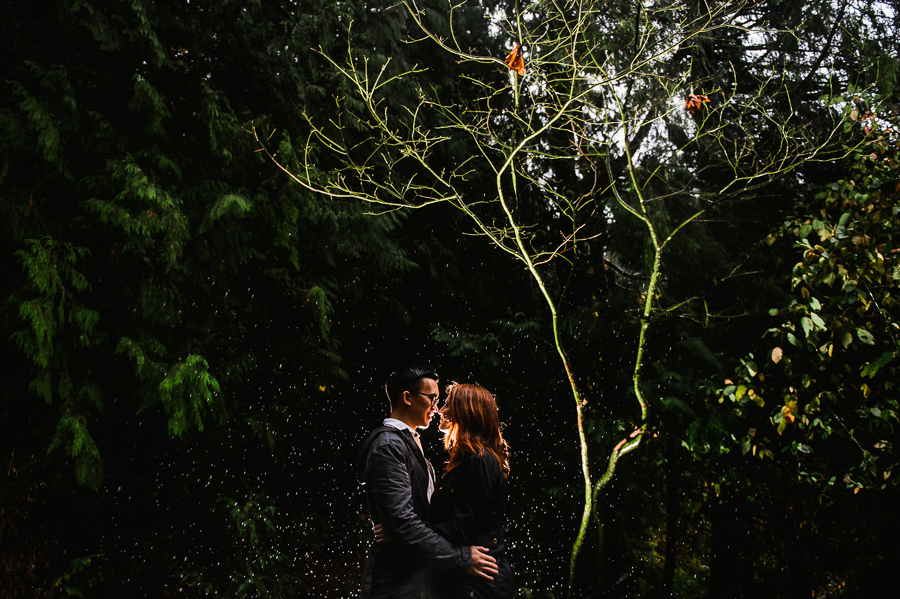 snoqualmie-falls-fall-rainy-engagement-session-12