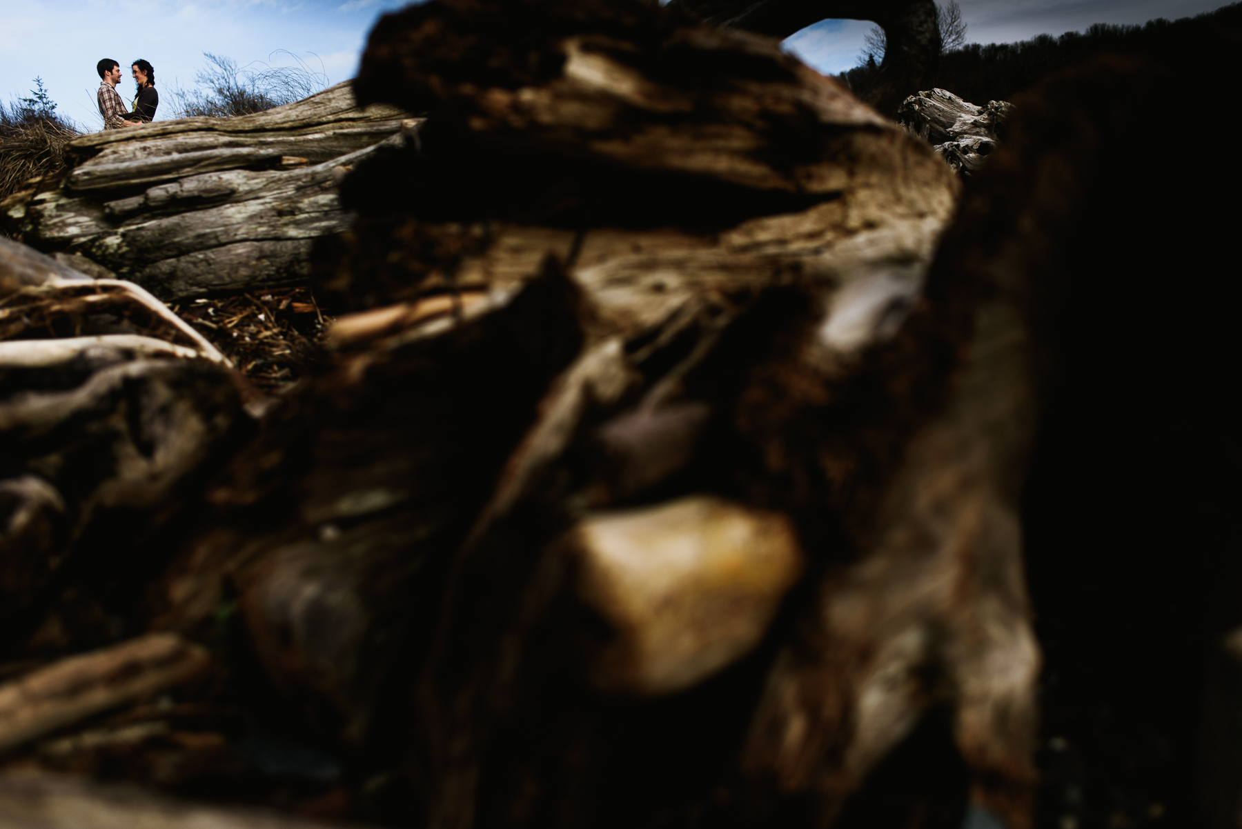 discovery park drift wood engagement