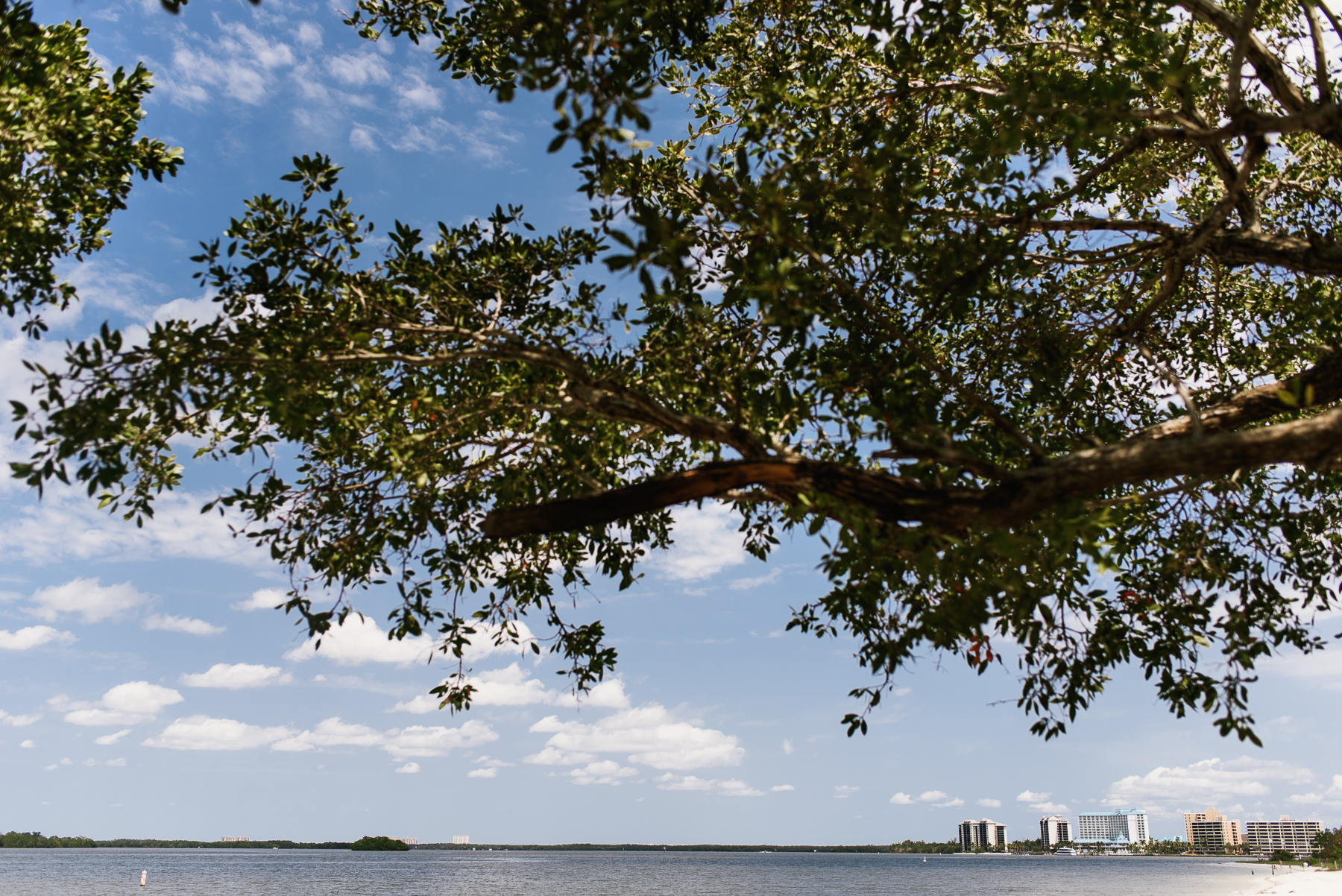 Sanibel island landscape