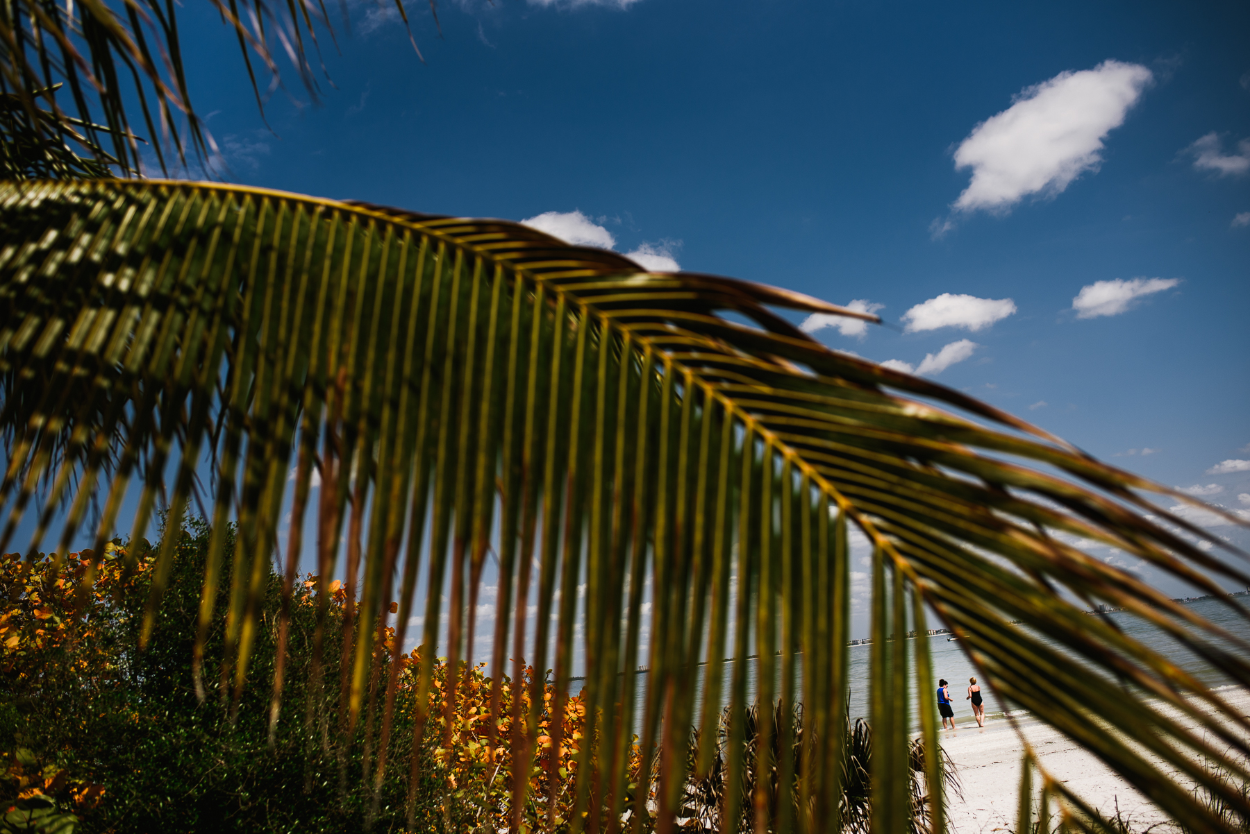 creative florida street photography