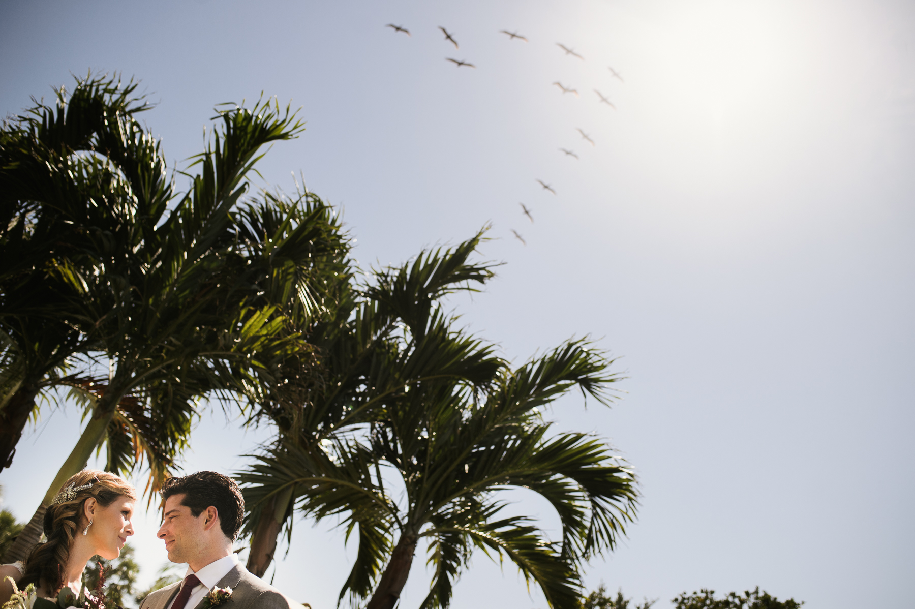 florida destination wedding portrait bird flying v