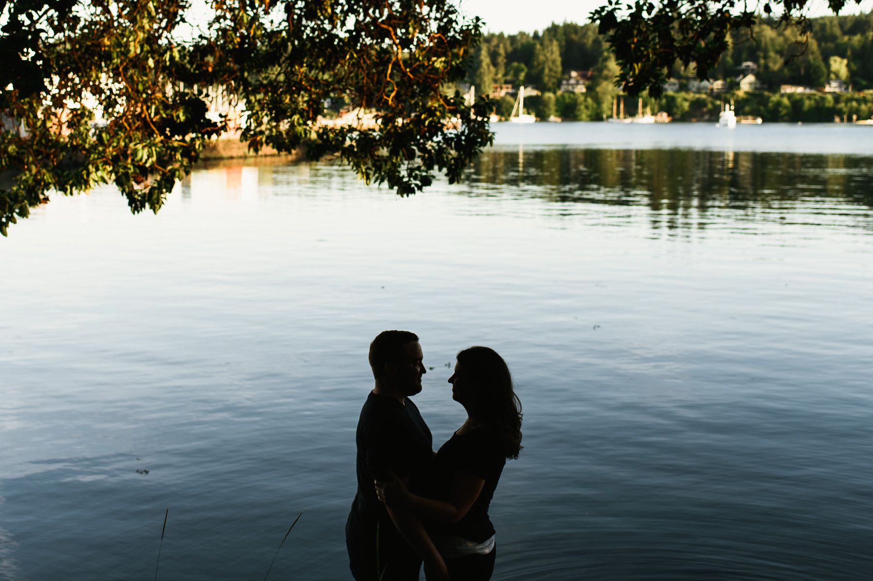 bainbridge island waterfront shiloutte 