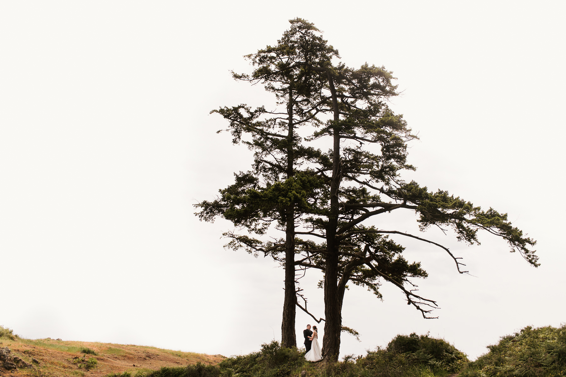 san juan island wedding portrait