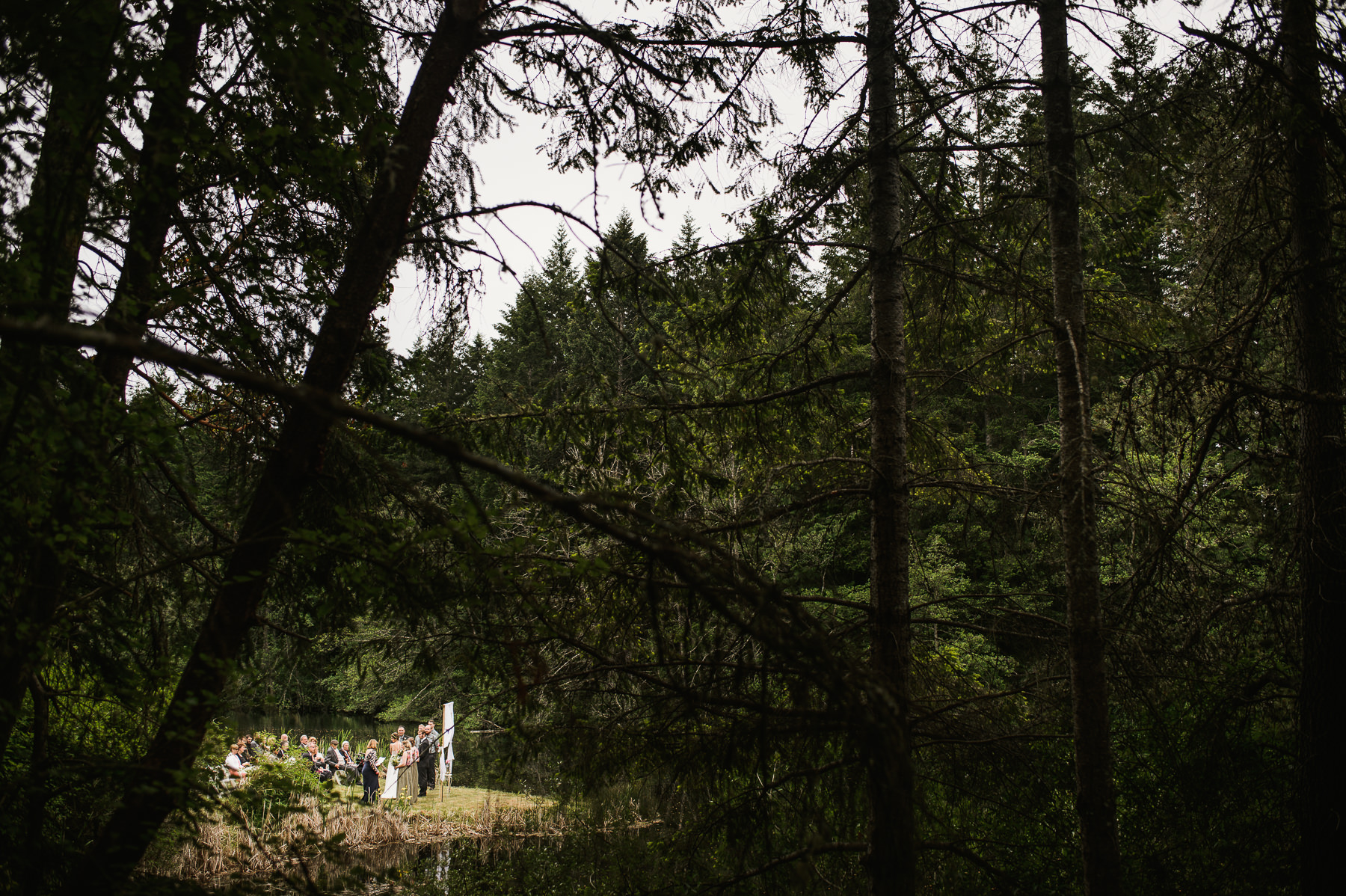 lakedale wedding forest ceremony 