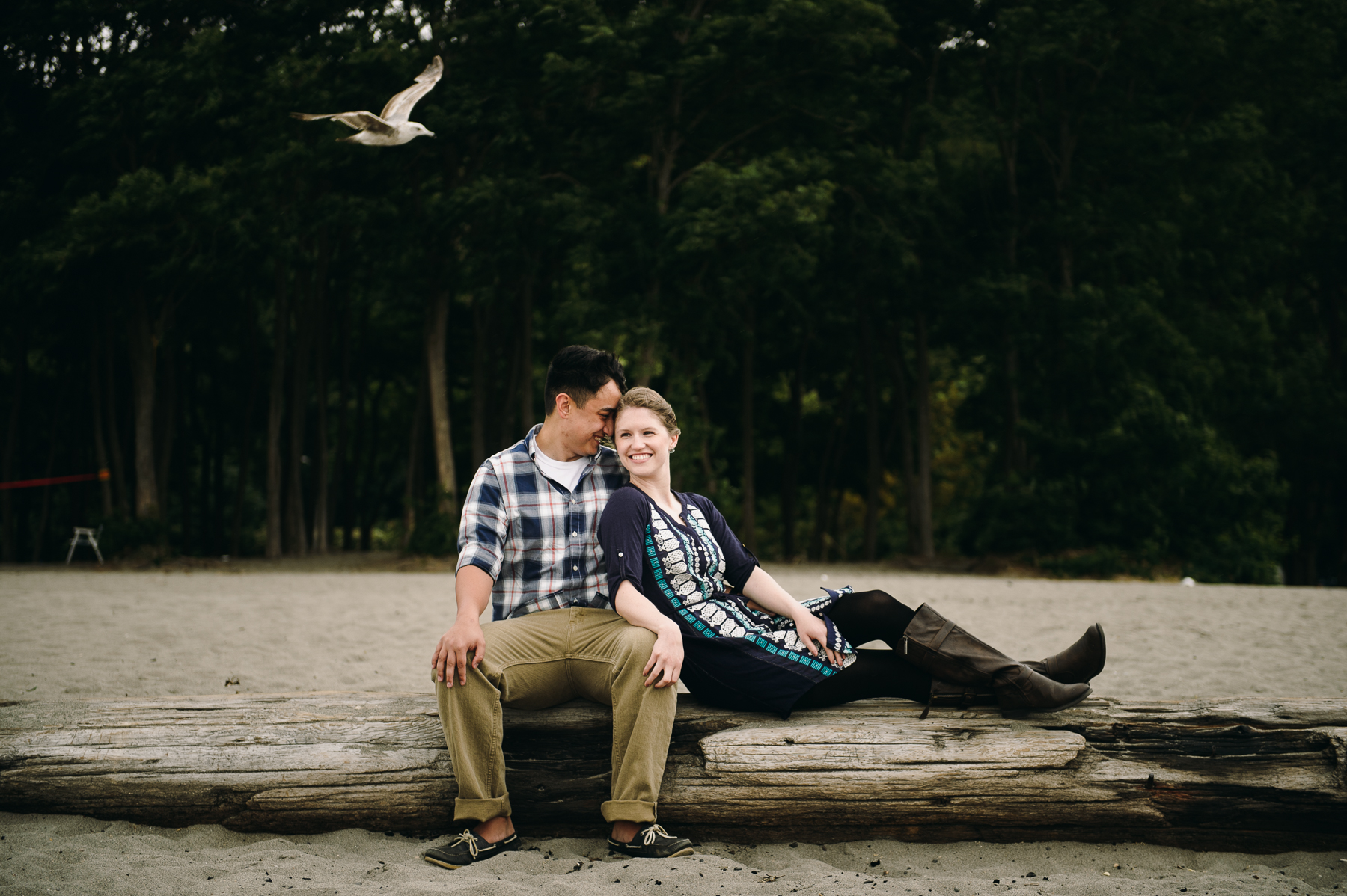 beach seagull engagement photos