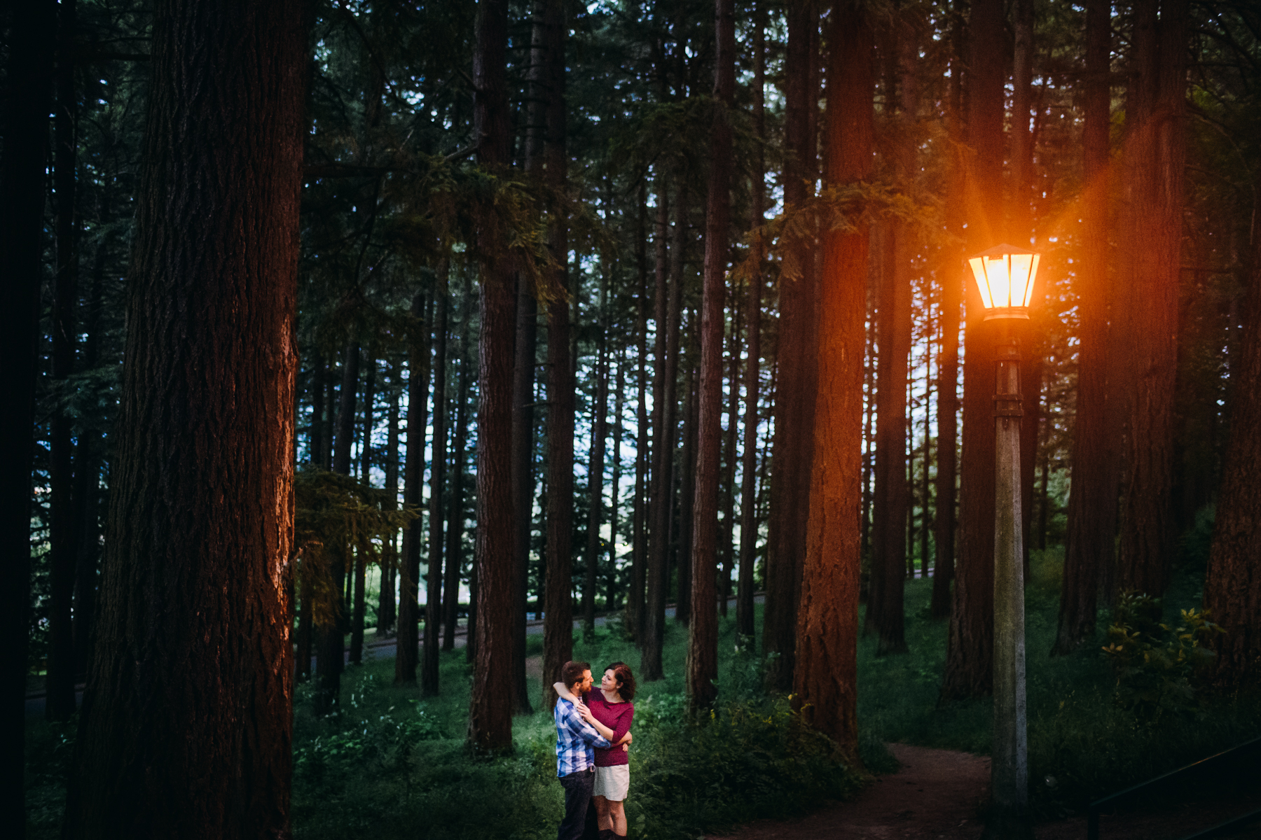 Mt. Tabor Park forest