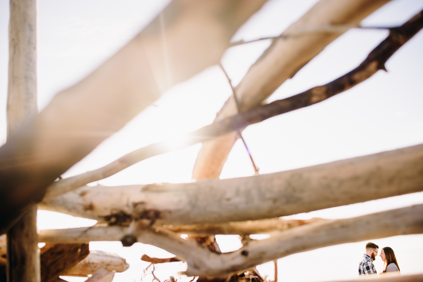 Point No Point driftwood couple