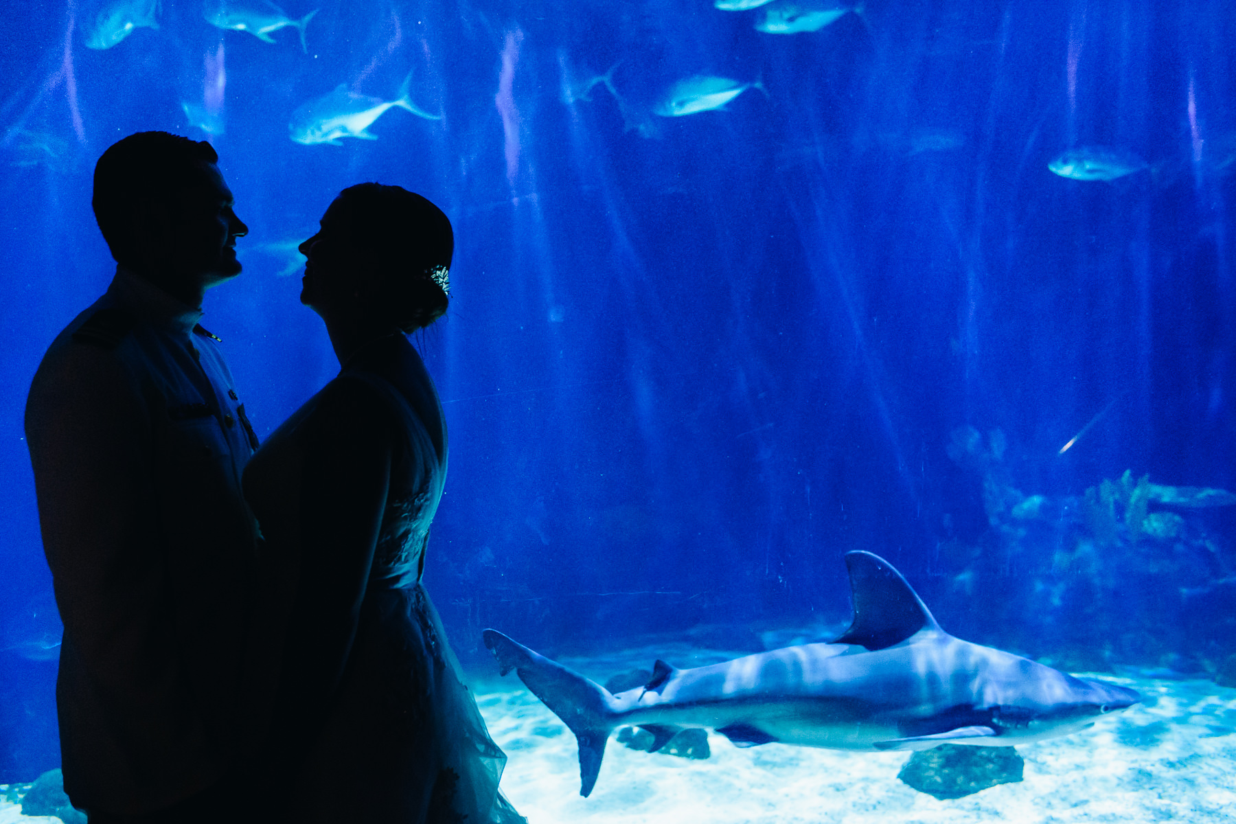 tacoma aquarium shark wedding photos