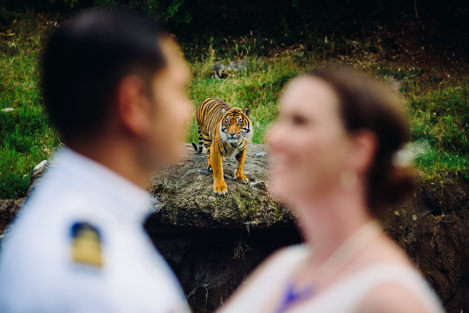 tacoma aquarium wedding photos