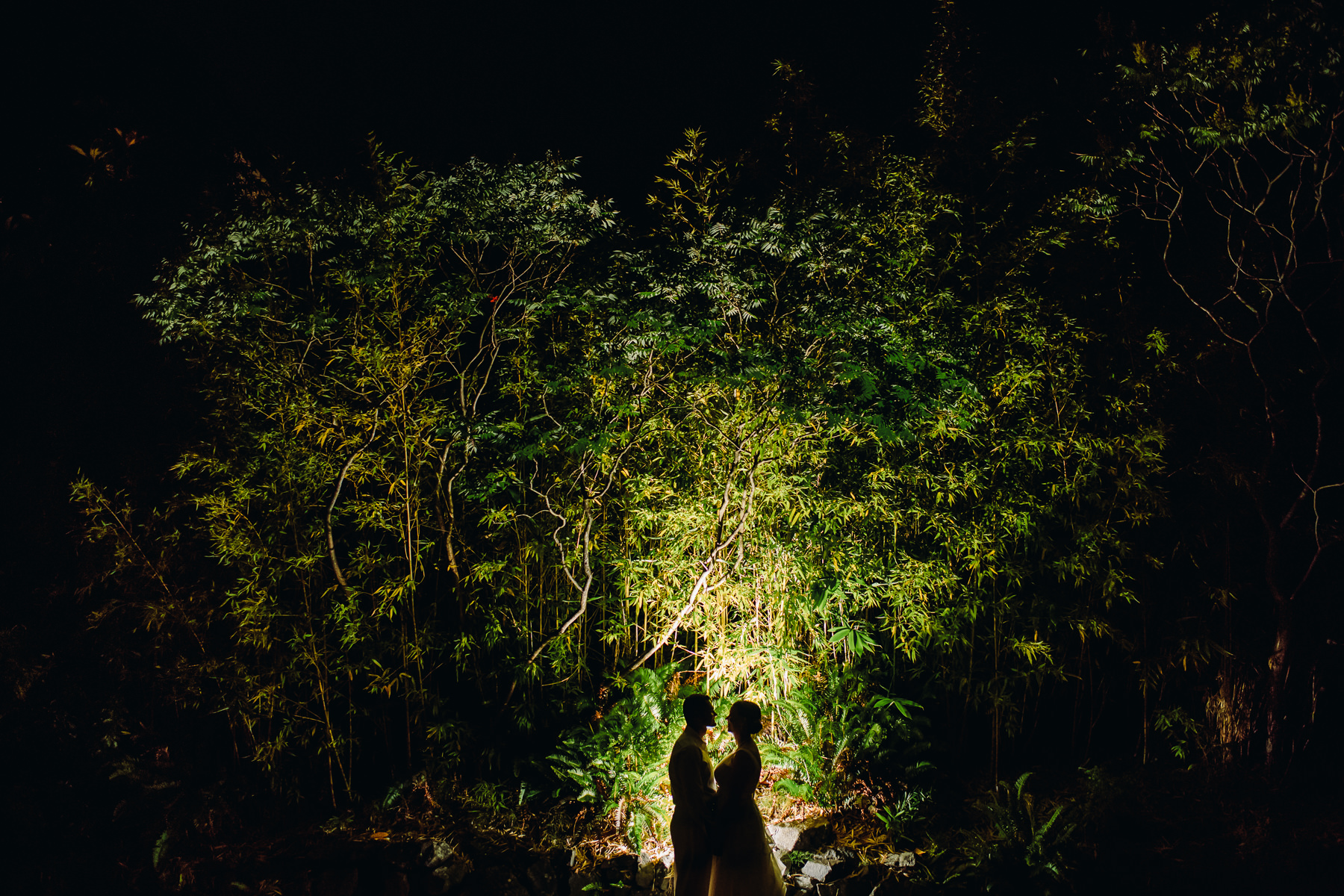 tacoma zoo night portrait