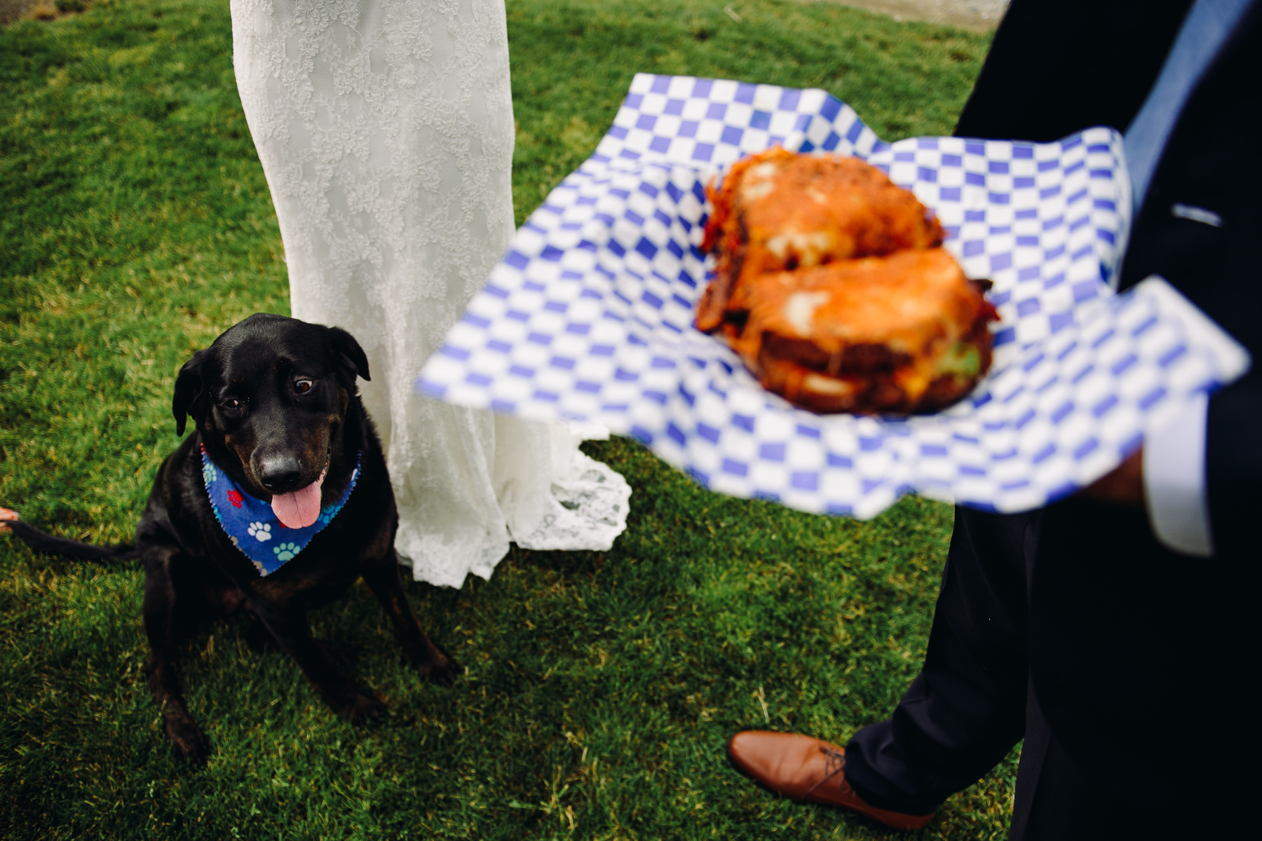 Trinity Tree Farm grilled cheese experience 