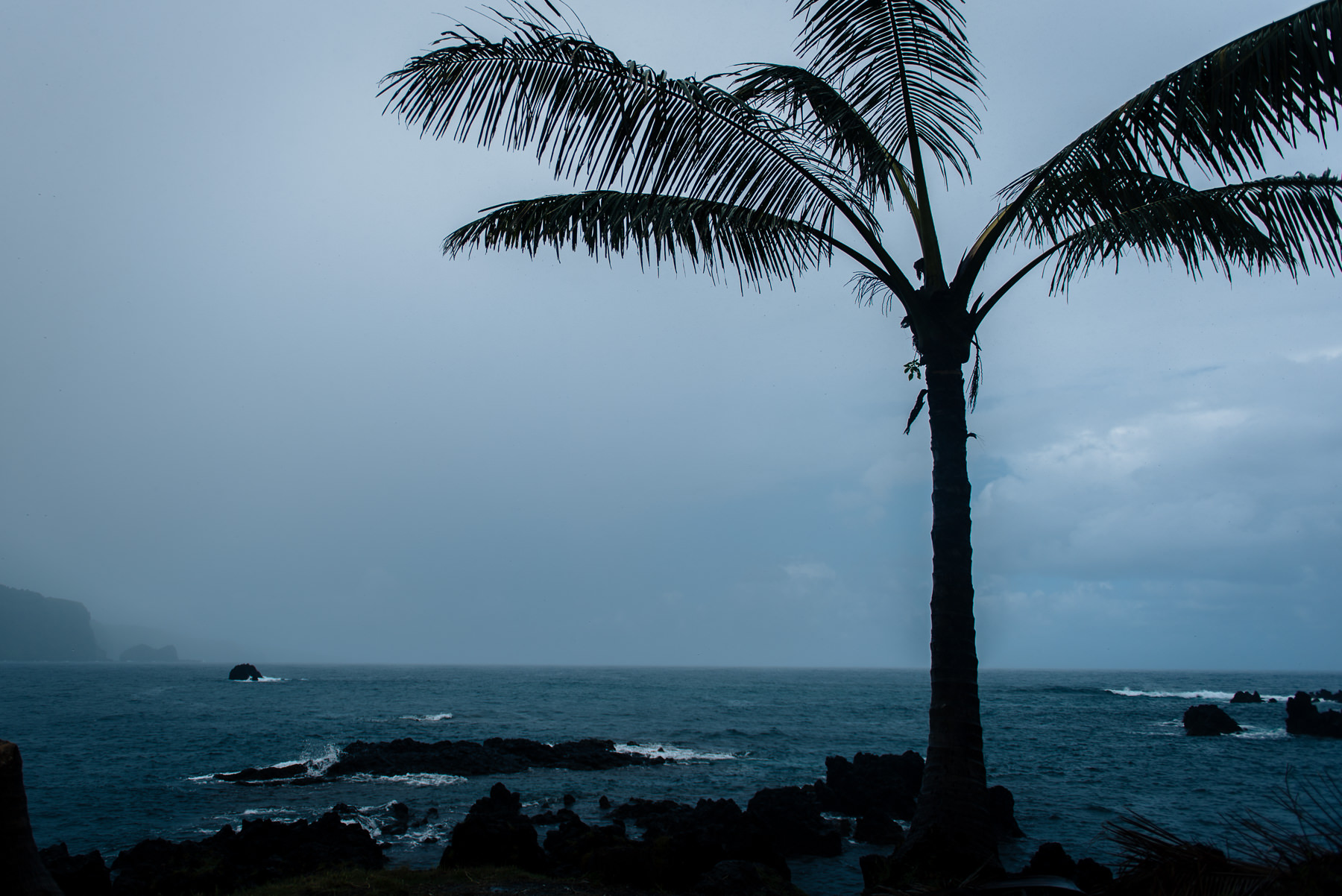 hawaii-familay-vacation-photographer-31