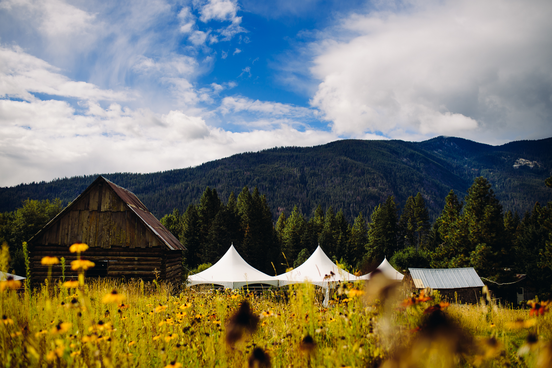 brown family homestead wedding venue