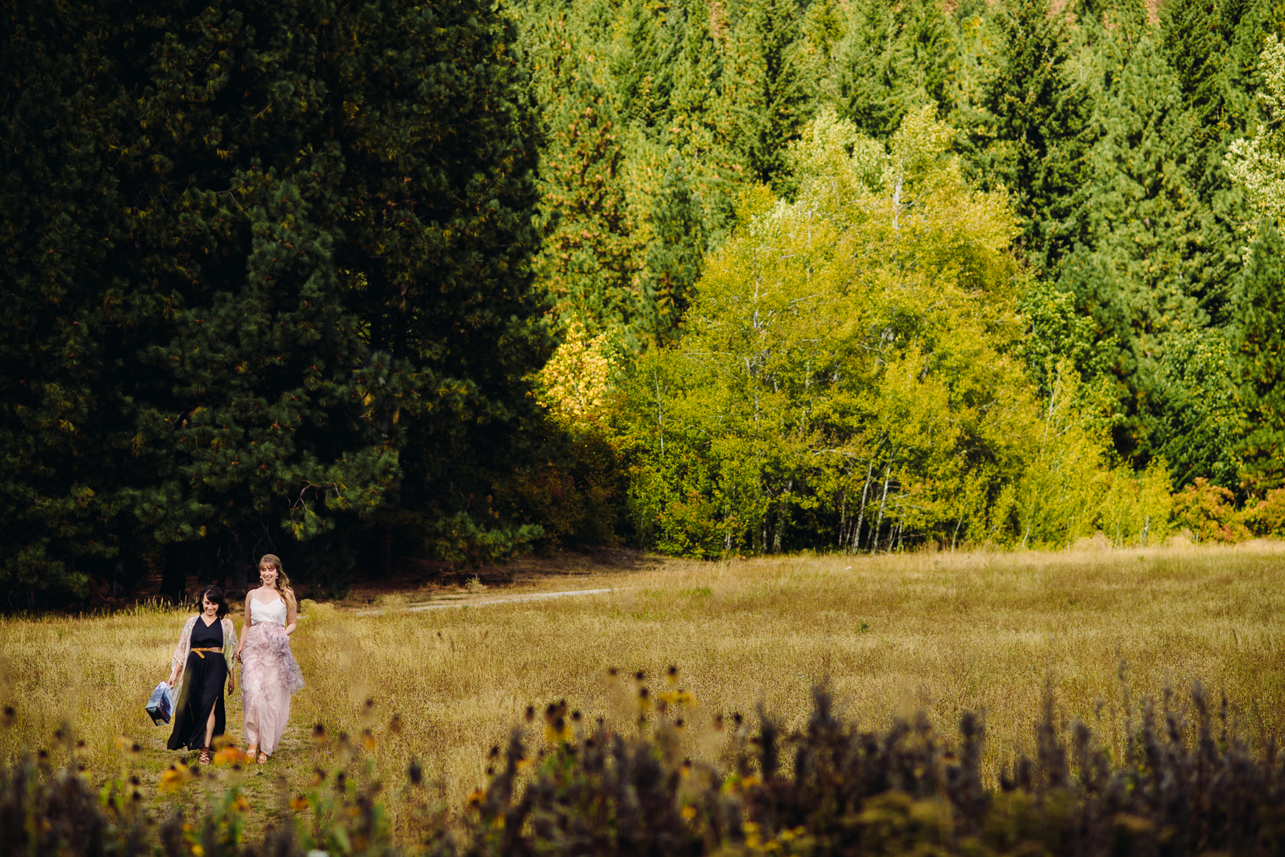 leavenworth wedding landscape