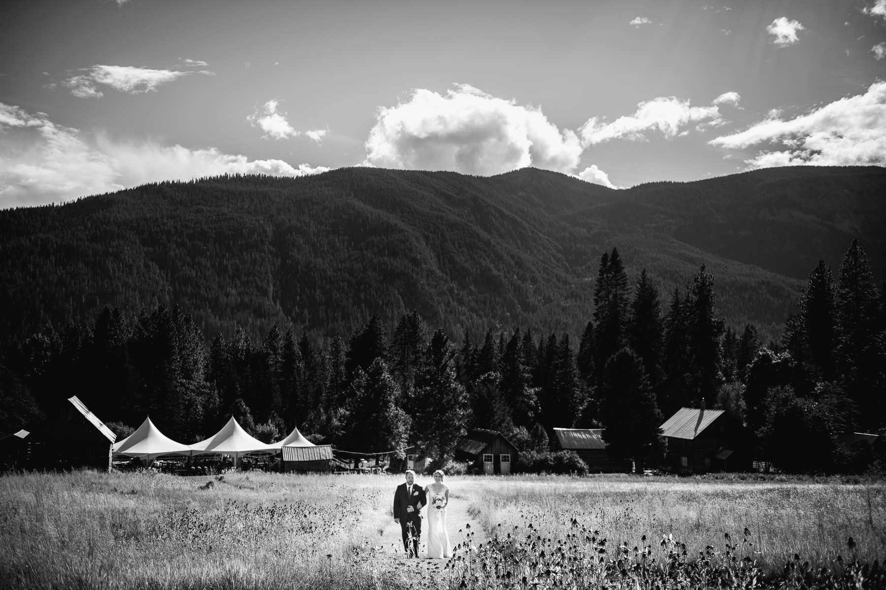 brown family homestead wedding ceremony