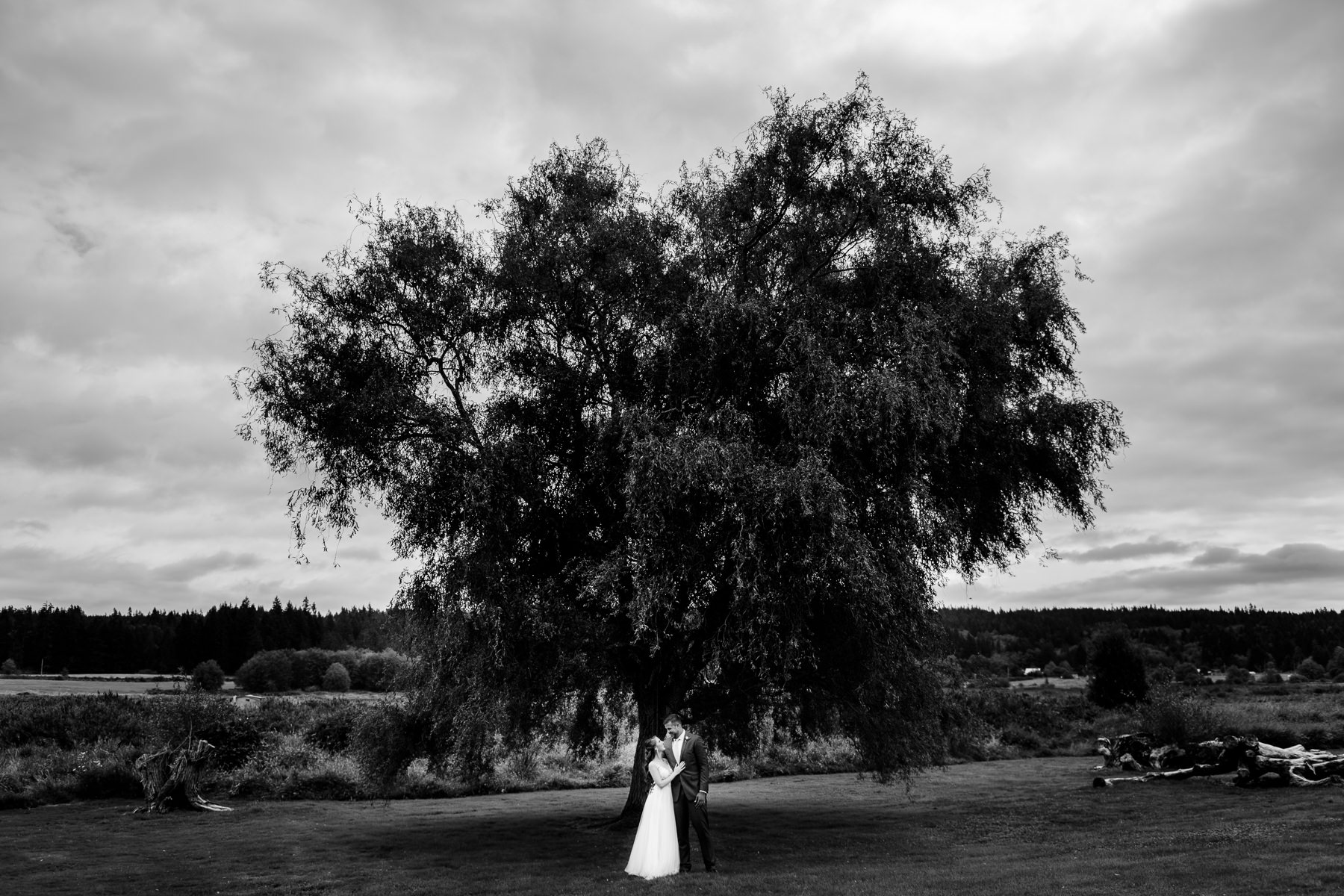 Whidbey Island Wedding at Fireseed