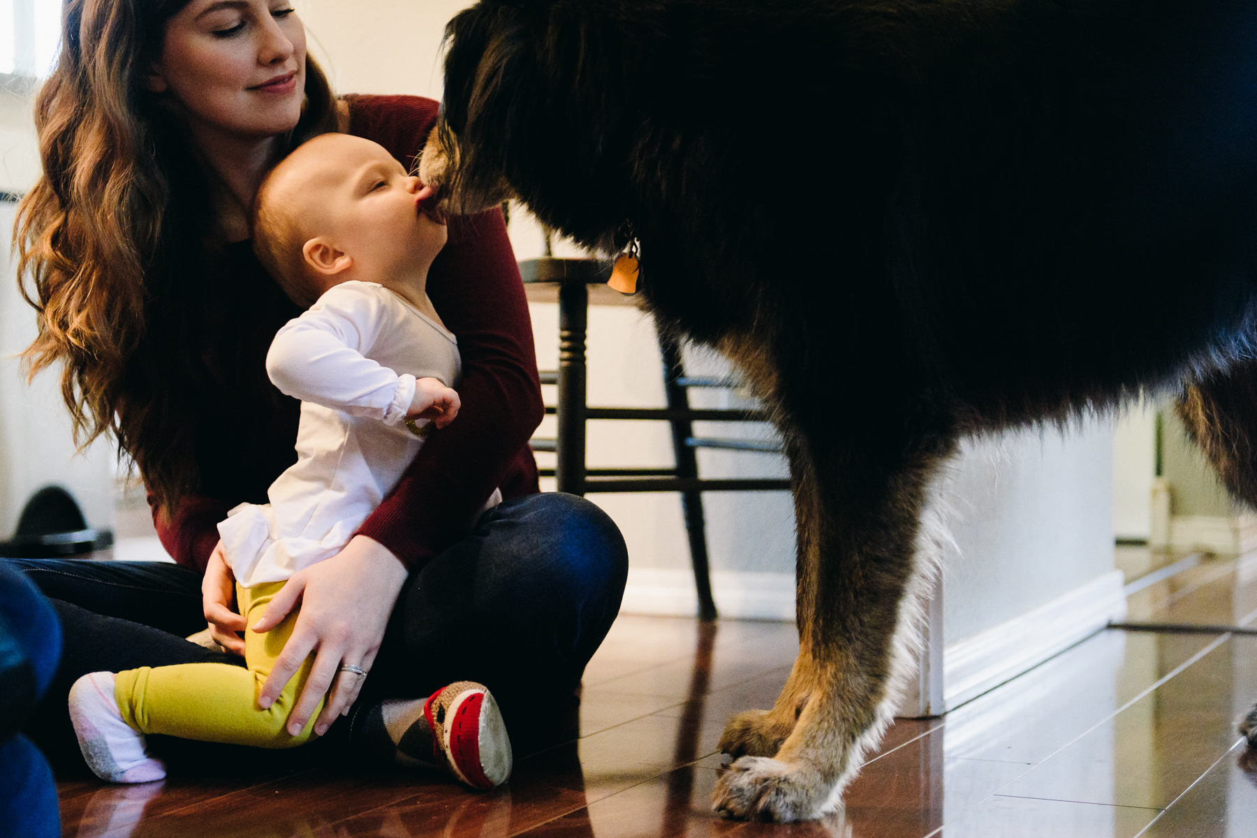 seattle-first-birthday-family-photographer-10