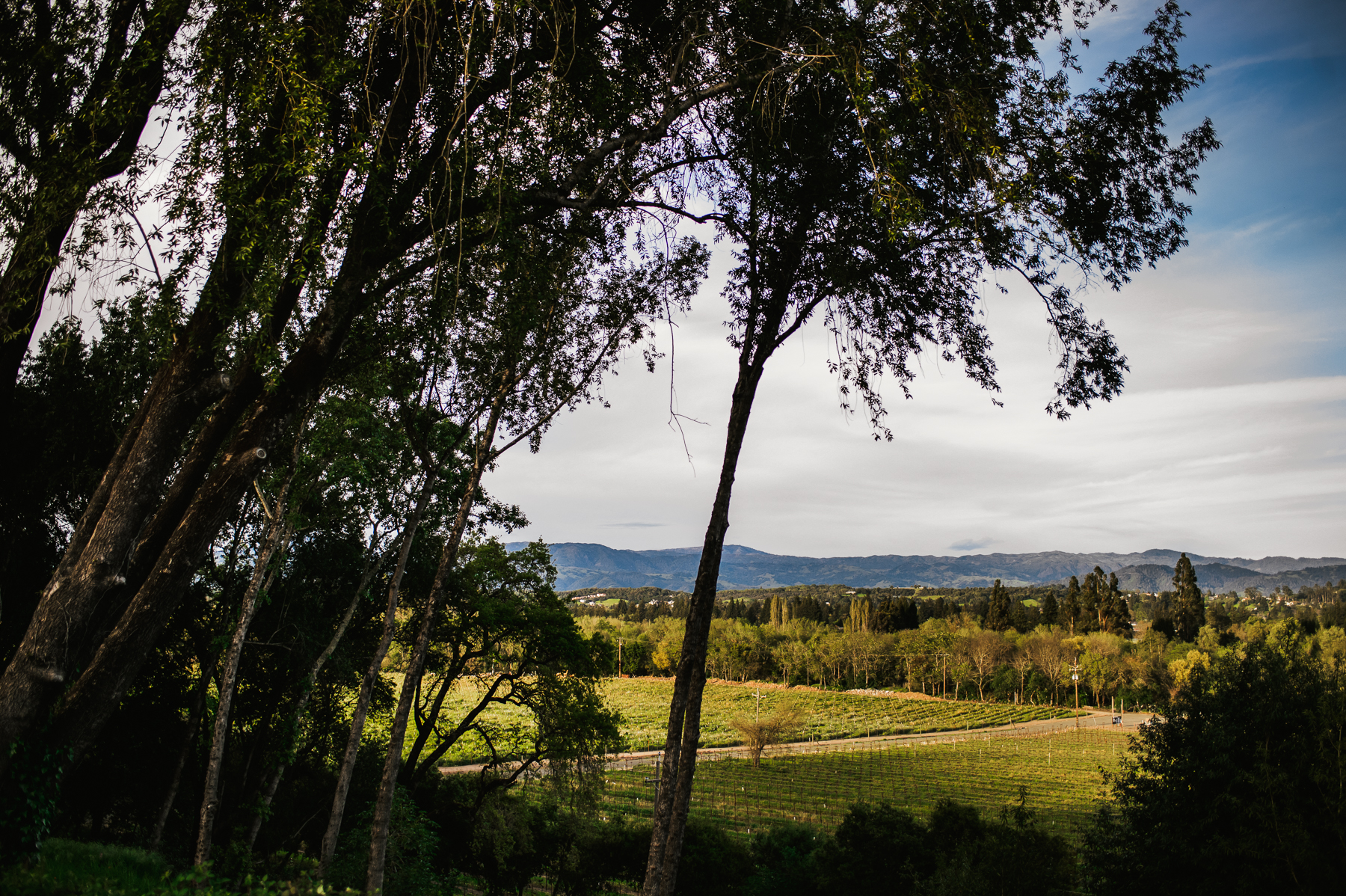 sonoma wine country wedding venue