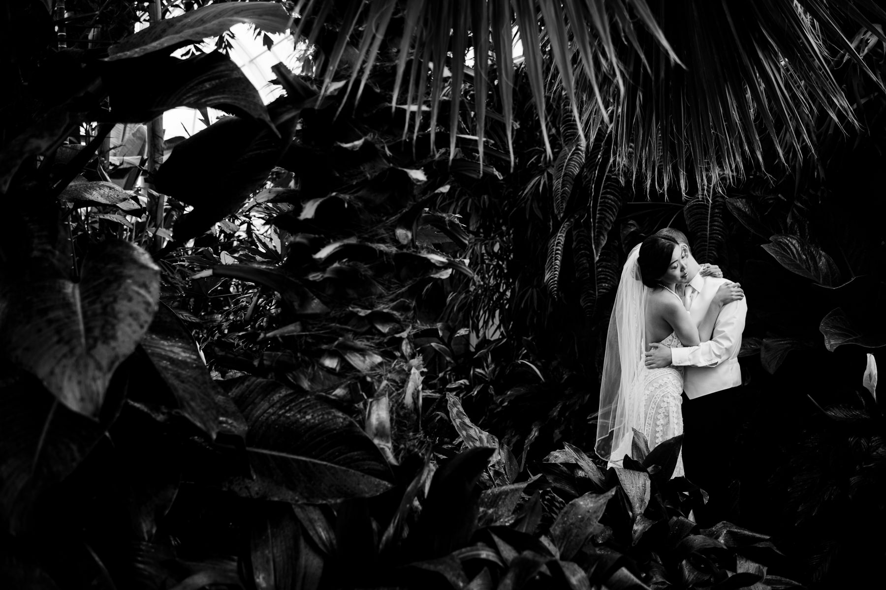 volunteer park conservatory wedding photos