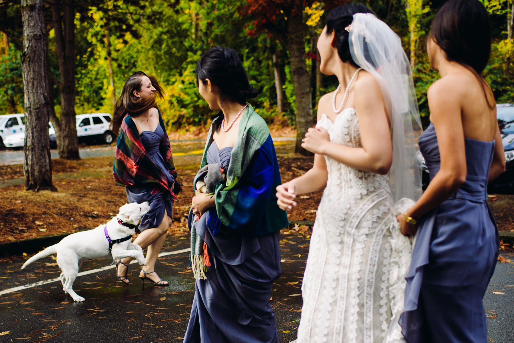 mercer island wedding moment