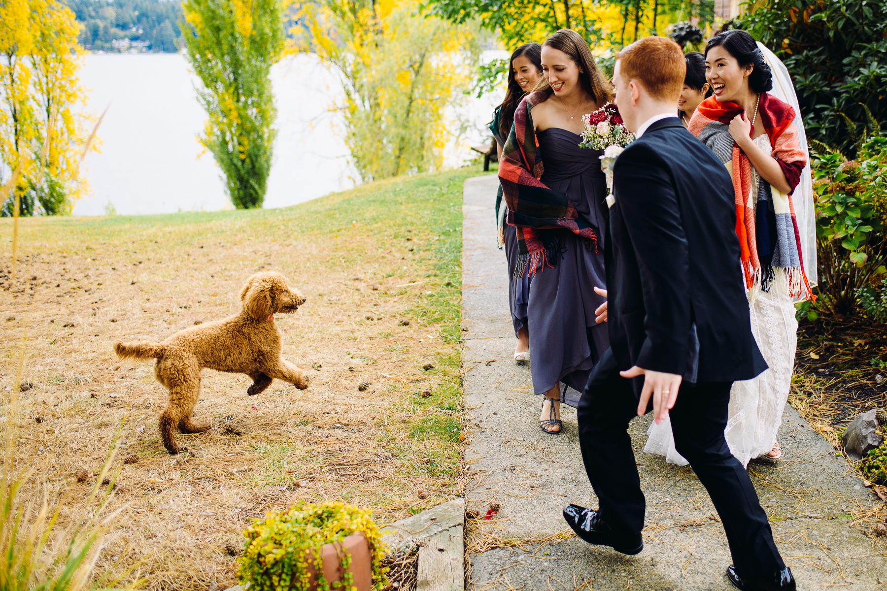 luther burbank park dog and bride