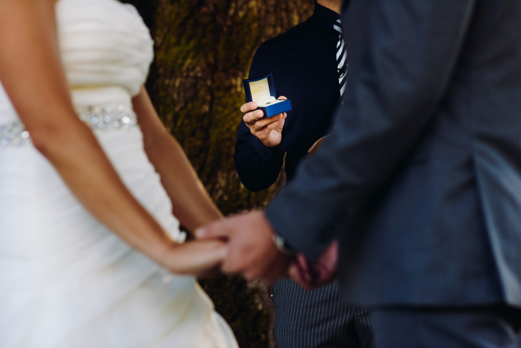 Pomeroy Farms wedding rings