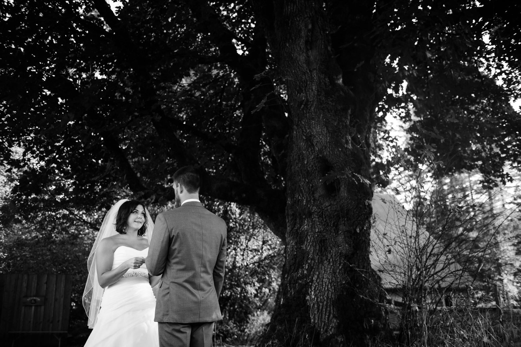 Pomeroy Farms wedding ceremony