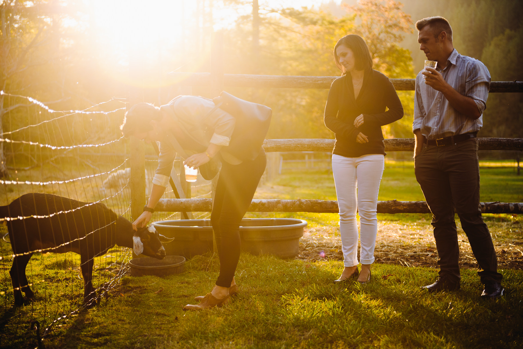 Pomeroy Farms guests and far animals 