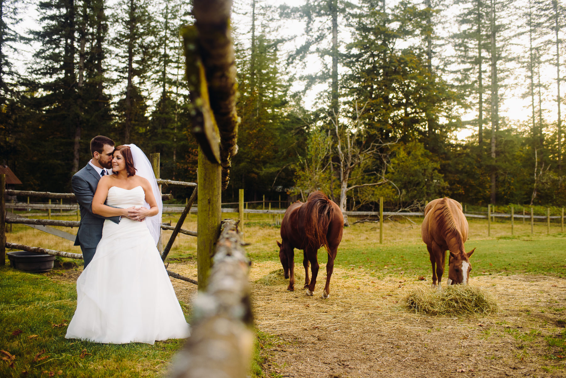 Pomeroy Farms horses wedding portraits 