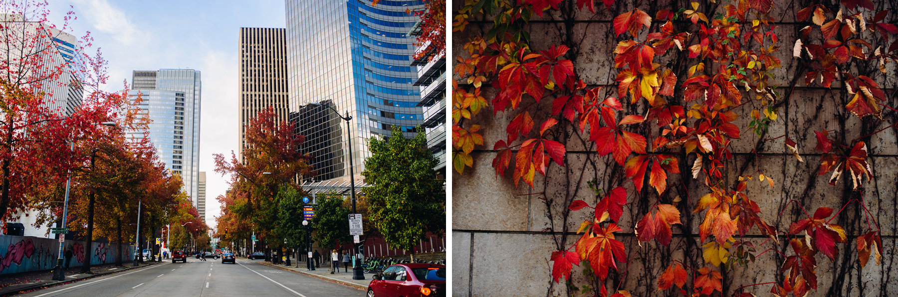 fall downtown seattle