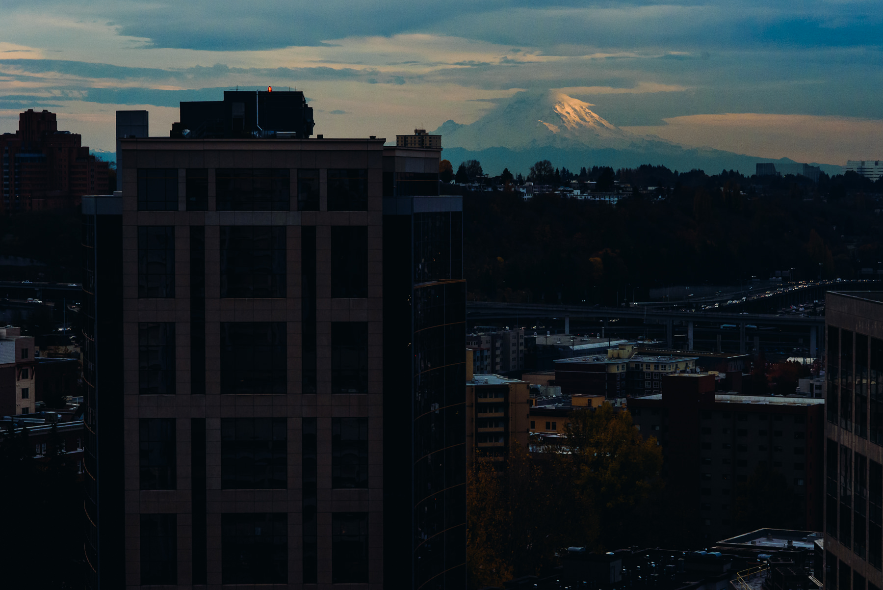 mt rainier wedding moments