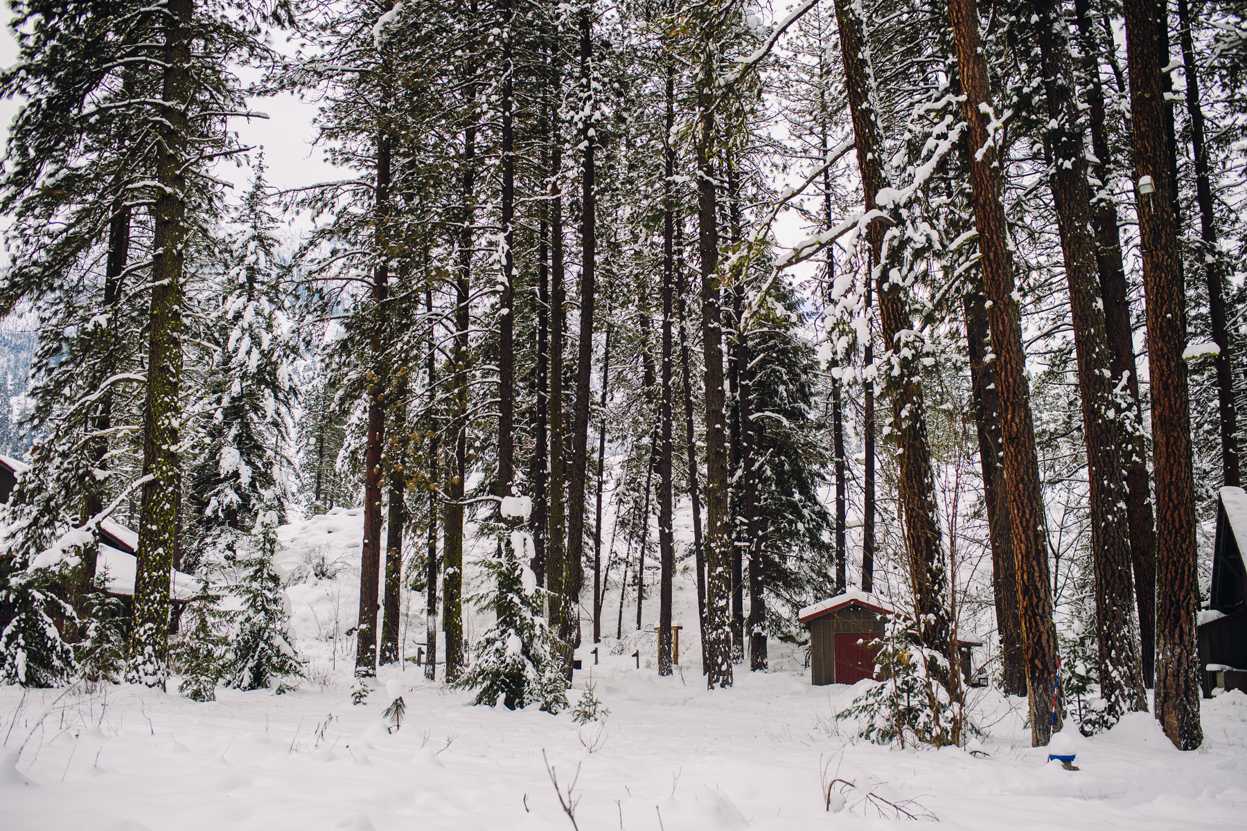 sleeping lady resort winter snow