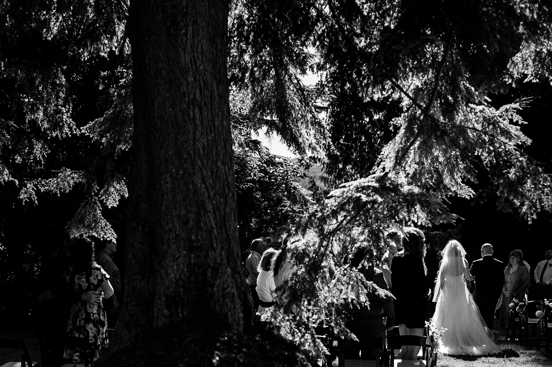 Bellingham backyard wedding ceremony