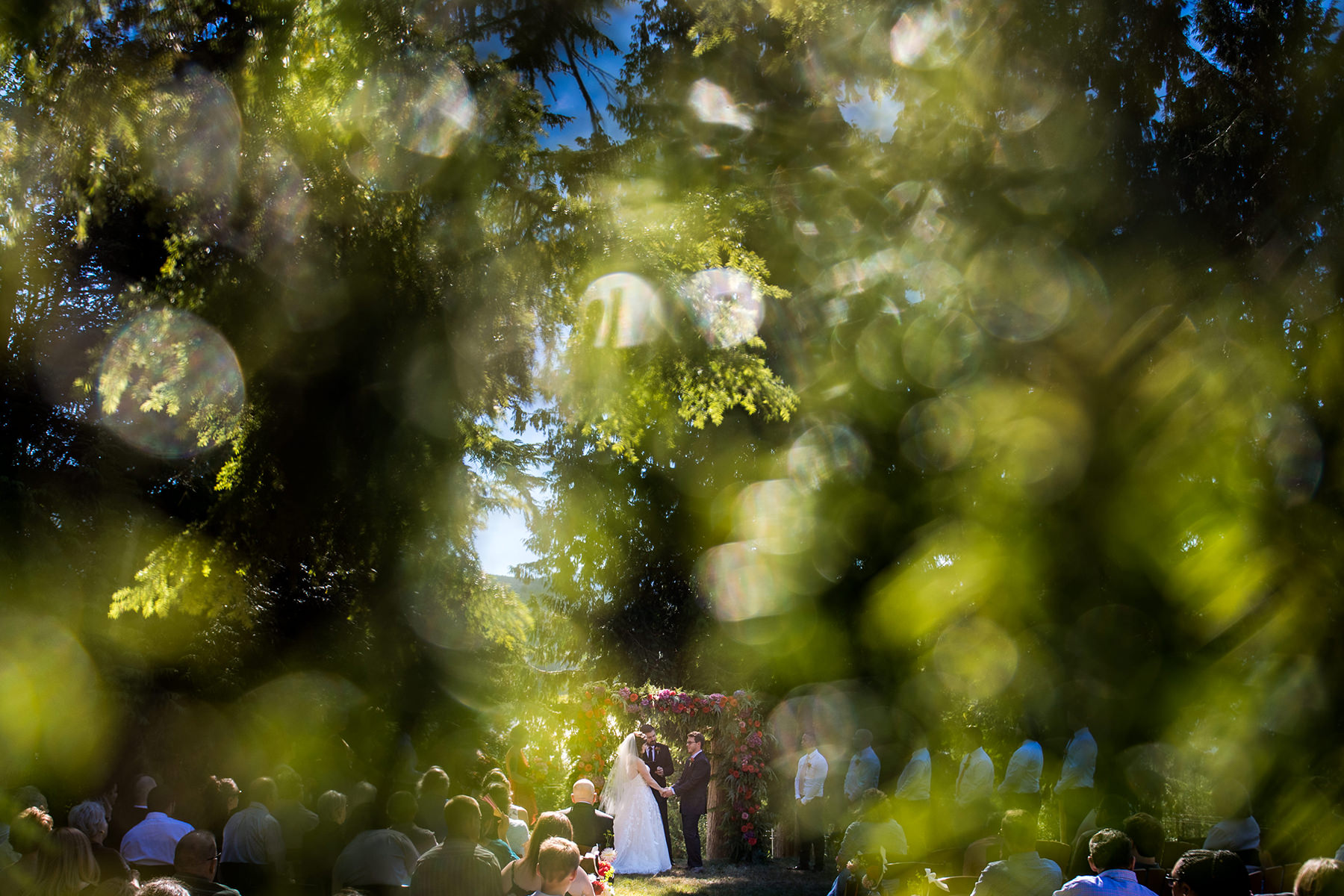 Bellingham backyard wedding ceremony 