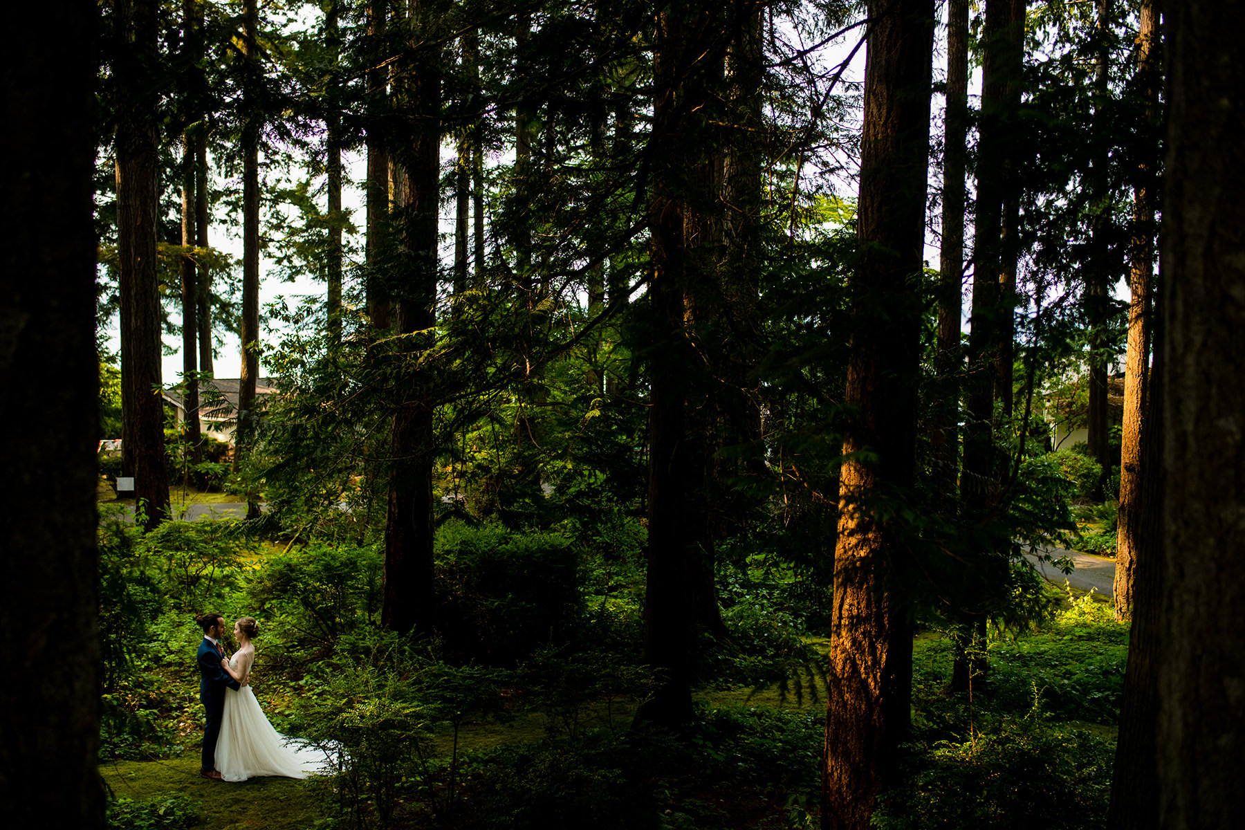 dramatic backyard forest wedding photos
