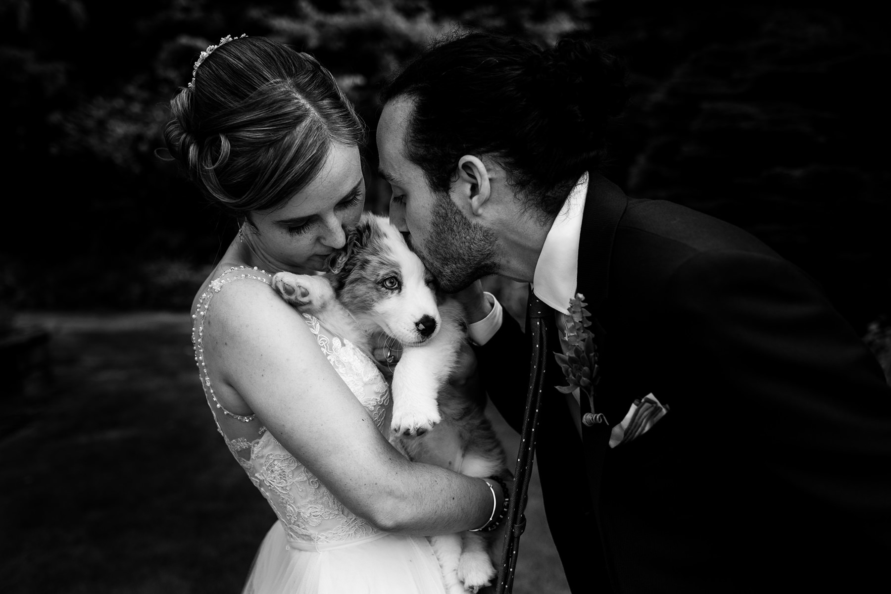 bride and groom kissing their dog