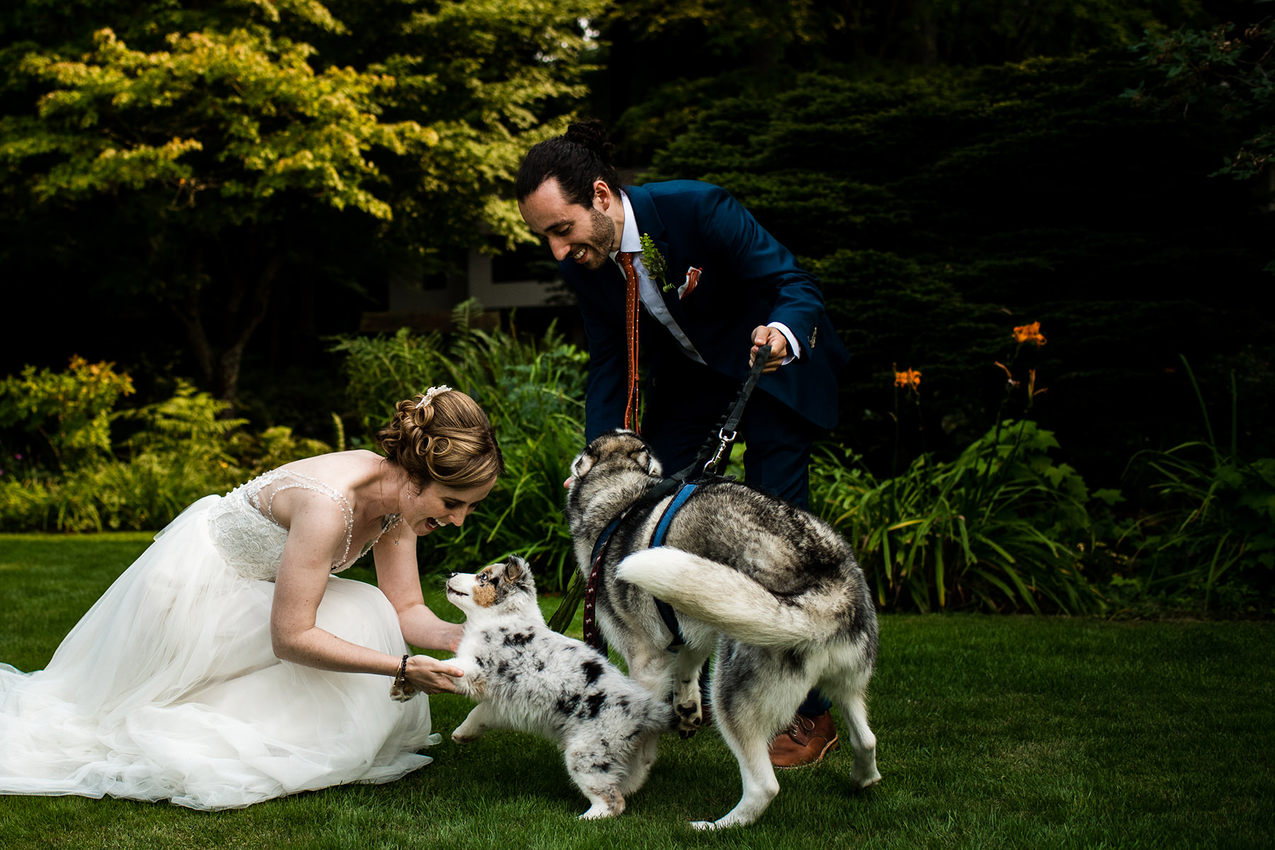 bride and groom with their dogs