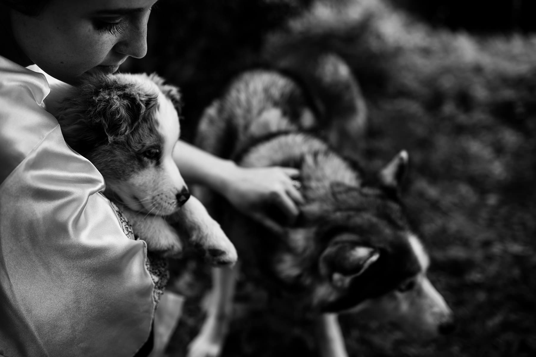 bride with her dogs