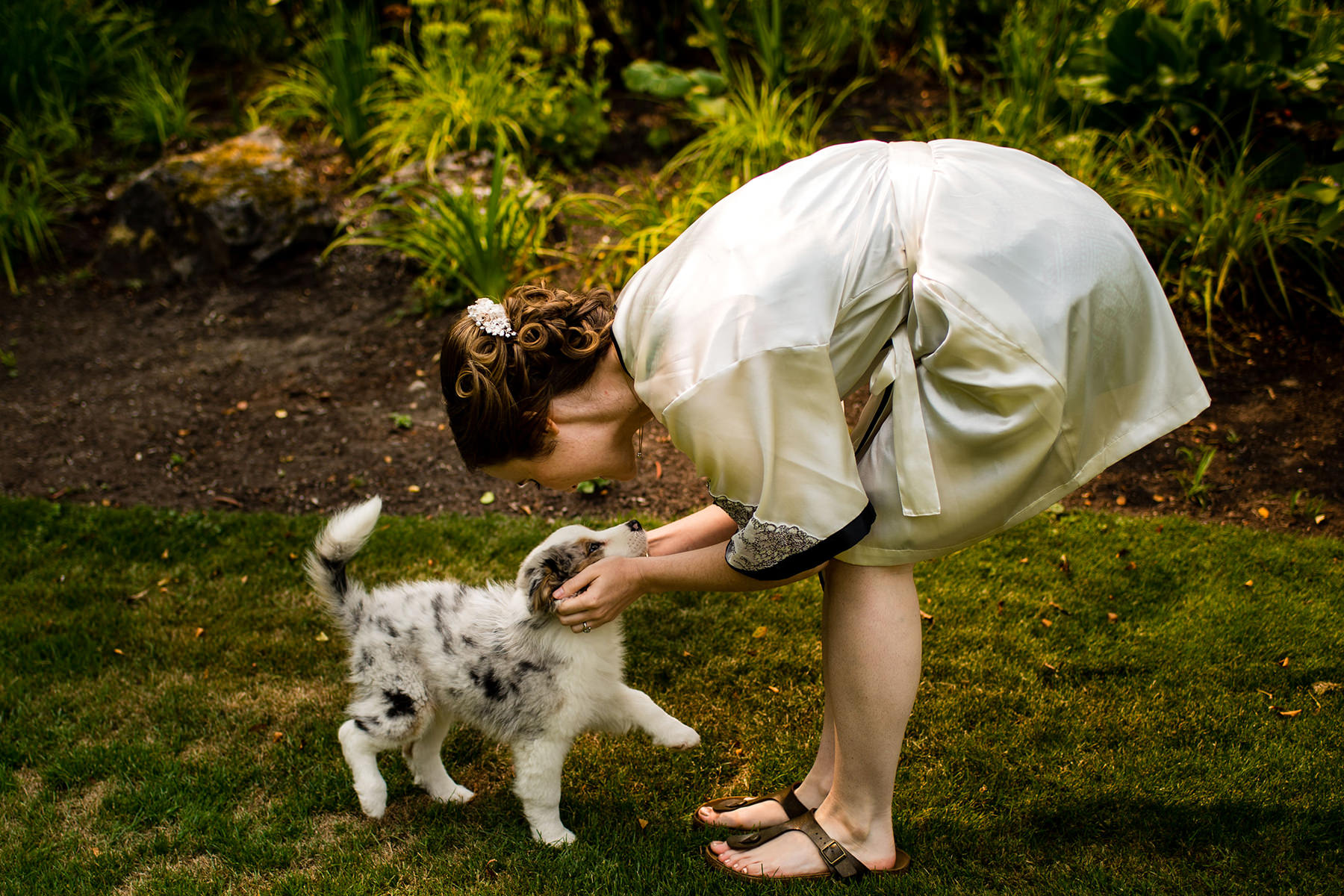 bride and small puppy